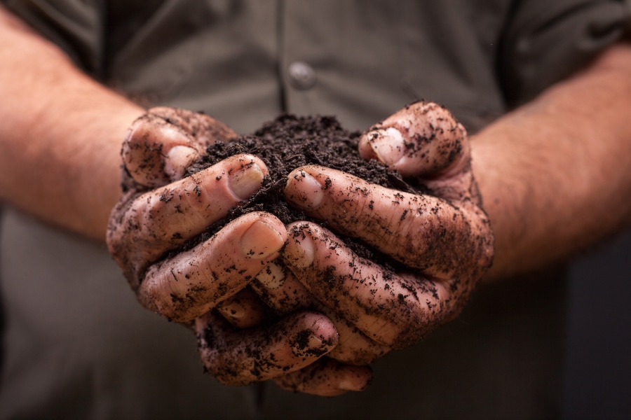 Council progresses investigation into proposed compost facility