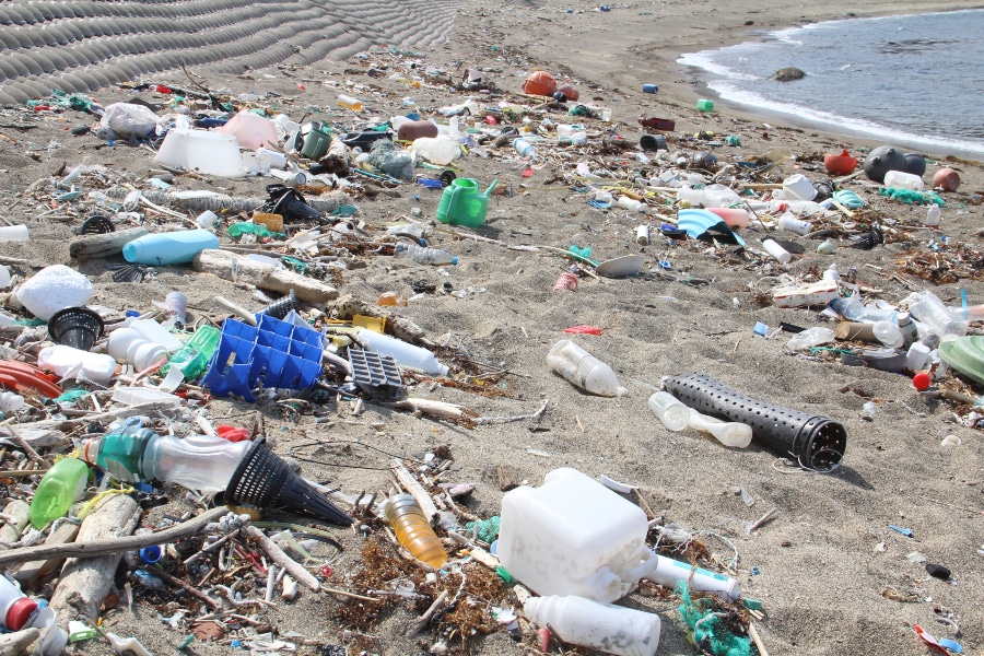 $2.28 million awarded to fight local litter - Waste Management Review