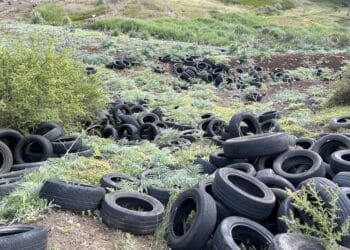 dumped tyres