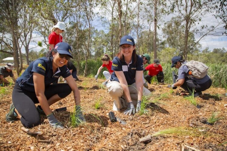 Greening Australia delivers large-scale restoration projects across Australia. Image: Wildrose Media