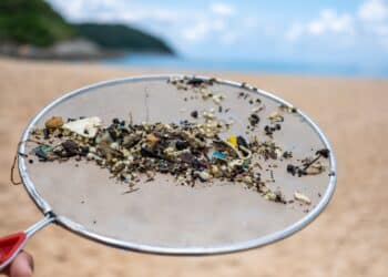 Image: wonderisland/stock.adobe.com