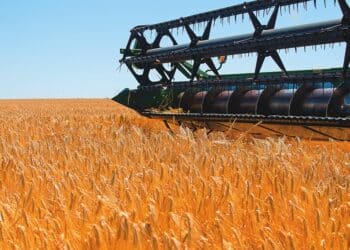 biosolids and pfas