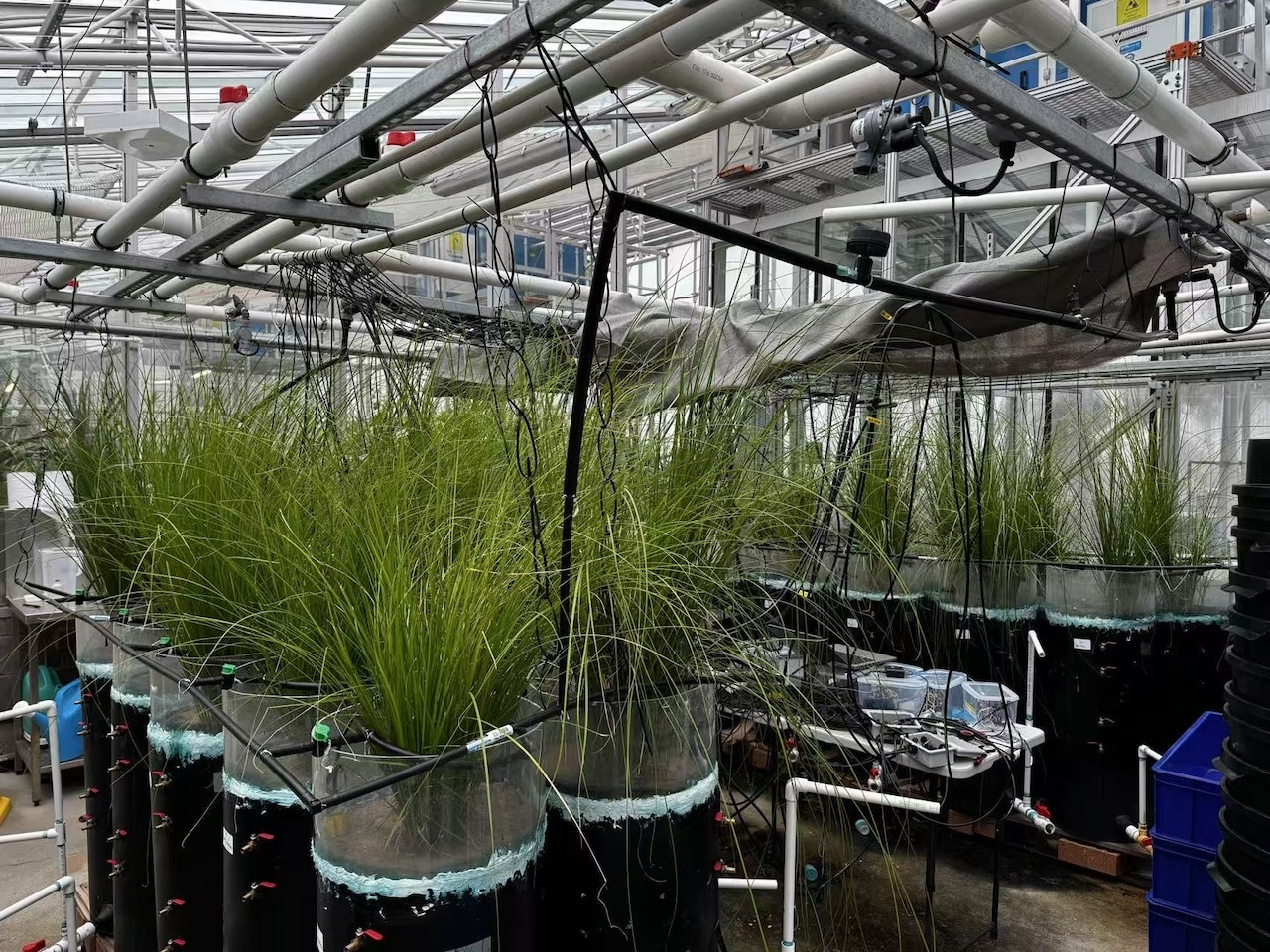 New stormwater system boosts pollutant removal